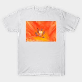 Tulipa  &#39;Monarch Parrot&#39;  Tulip  Parrot Group T-Shirt